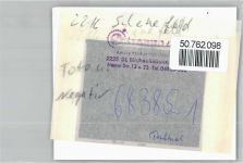 25560 W2216 Schenefeld , Mittelholst FOTO KEINE AK Foto mit Negativ, Ehrenmal