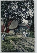 Alter Hof Rinderkarren Schwarzwaldhaus