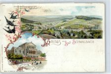 65307 W6208 Bad Schwalbach - Kurhaus, Vogel Schwalbe