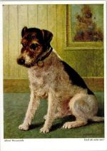 Drahthaar-Foxterrier sign. Alfred Weczerzick Wiechmann Terrier Künstlerkarte