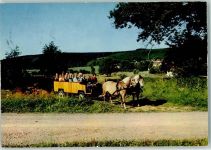37603 W3450 Neuhaus im Solling - Pferdekutsche