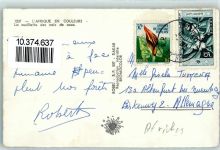 Dakar - Kokosnussernte