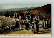 6190 Scenes et Types - Tribu de Nomaden en route AK Arab. Volkstyp