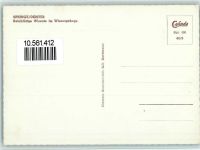 W3257 Springe , Deister Bison Büffel