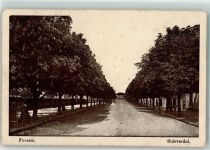 Focsani 1917 - Boulevard