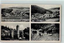 63872 W8751 Heimbuchenthal 1940 Foto AK Schloss Mespelbrunn Wildschweine