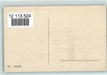 Chillon Chateau Möven Les Dents du Midi Vogel