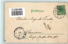 01877 O8500 Bischofswerda 1899 Lithographie Waldvilla Butterburg