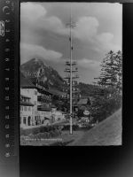 83250 W8215 Marquartstein GLASNEGATIV Maibaum
