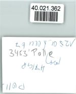 37647 W3453 Polle , Weser FOTO KEINE AK