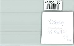 24351 W2343 Damp FOTO KEINE AK Segler