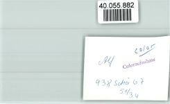 56859 W5584 Bullay FOTO KEINE AK Ortsansicht