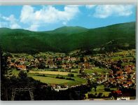 94249 W8373 Bodenmais - Ortsansicht mit Großem u. Kleinen Arber