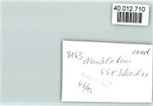 83727 W8163 Wendelsteinhaus a Inn FOTO KEINE AK
