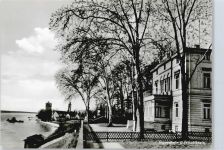 65343 W6228 Eltville am Rhein