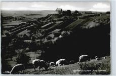 91472 W8531 Hoheneck - Foto