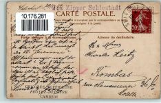 Werbung Chicoree Superlieure Rose 1922