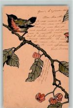 Rotkehlchen auf einem Zweig , Serie 17 , Tournier & Cie Vogel 1903 Lithographie