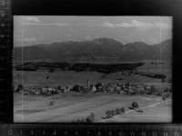 82387 W8121 Antdorf GLASNEGATIV