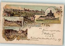 92342 W8437 Freystadt , Oberpf 1897 Lithographie Kloster Marktstraße Marktplatz Rathaus