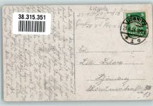 Liegnitz Legnica 1924 Foto AK Palmenhain Leuchtspringbrunnen