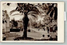 Tirana Foto AK Denkmal