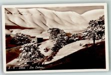 Beirut Winter Les Cedres