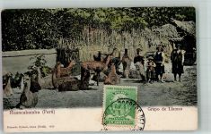 Lima Foto AK Gruppe Lamas Tracht Marke bildseitig Huancabamba