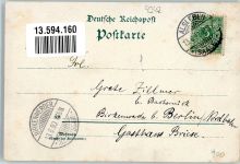 06425 O4342 Alsleben 1899 Lithographie Schloss Alsleben Ponton-Brücke Schleuse