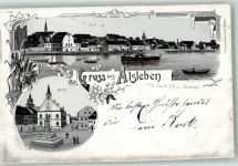 06425 O4342 Alsleben 1901 Lithographie Markt Denkmal Saale
