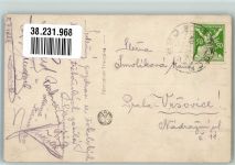 Junge blonde Frau mit einem Hund Verlag A. Noyer 2198 Windhund 1924