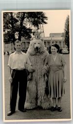 W1000 Berlin Mitte Maskottchen der Stadt Berlin Eisbär 1950 Privatfoto AK