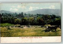 Heuernte in Neuengland Tiergespann
