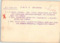 75433 W7133 Schmie 1933 FOTO KEINE AK Fliegeraufnahme vom Jugendheim Original aufmontierte Verlagsmusterkarte