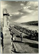 54470 W5550 Bernkastel Foto AK Geweihte Landschaft Moseltal