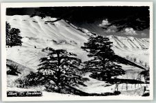 Beirut Winter Ort lt. Verlag The Cedars