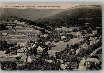 Bad Flinsberg Swieradow-Sdroj 1924 Foto AK
