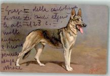 sign. Rivst J Edition Stahl No. 97 Schäferhund 1920 Künstlerkarte