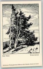 sign. Biese : Wettertannen Kunst und Leben Künstlerkarte