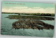 Lumber Raft on the St. John River Floß 1909