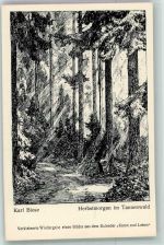 Karl Biese ; Herbstmorgen im Tannenwald Kunst und Leben
