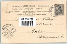 Greyhound Windhund 1901