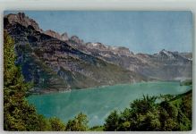 Wallensee m. Churfirsten F.Ph.G. Nr. 2563 Farben Fotos