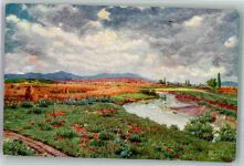 Pristina 1920 Künstlerkarte Blumenwiese