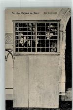 W3380 Goslar Die Beißkatze Aus dem Rathaus Folter