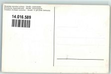 sign. Borelli: Dalmatinerin Trachten Kroatien Künstlerkarte