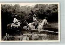 Gauchos Pferd