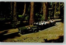 Im Mariposa Grove Yosemite Nationalpark Straßenbahn