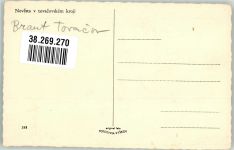 Vyskov Wischau Foto AK Tracht Braut Ort lt. Verlag