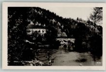 4112 Rottenegg Foto AK Saurüssel